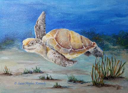Loggerhead Turtle Painting